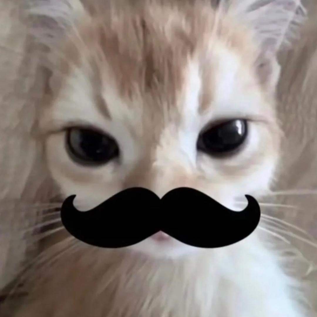 小周学长（长职咨询版）