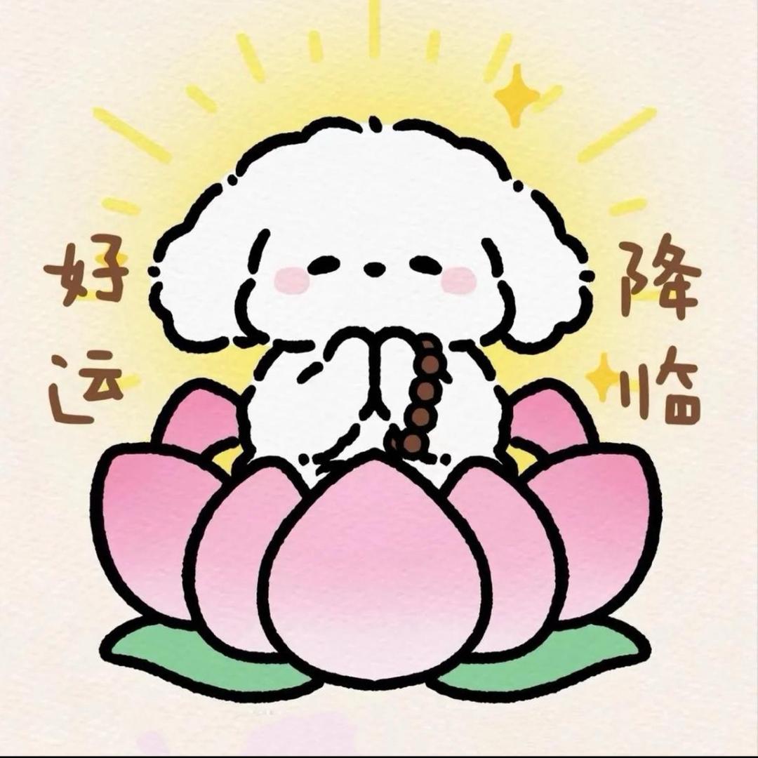 贝贝