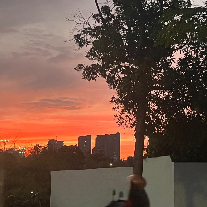 不说话的小圆o_o