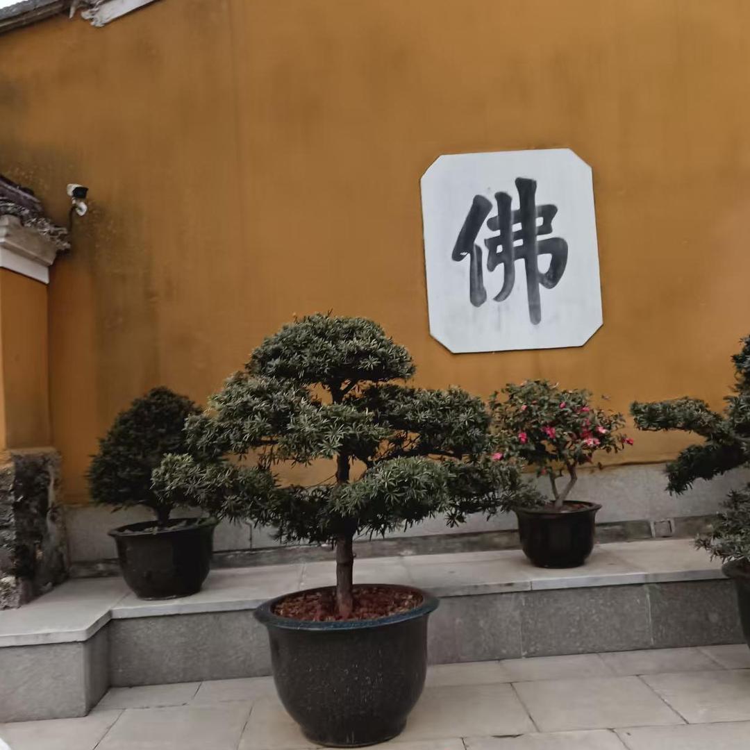 佛度有缘人，接福接善缘，