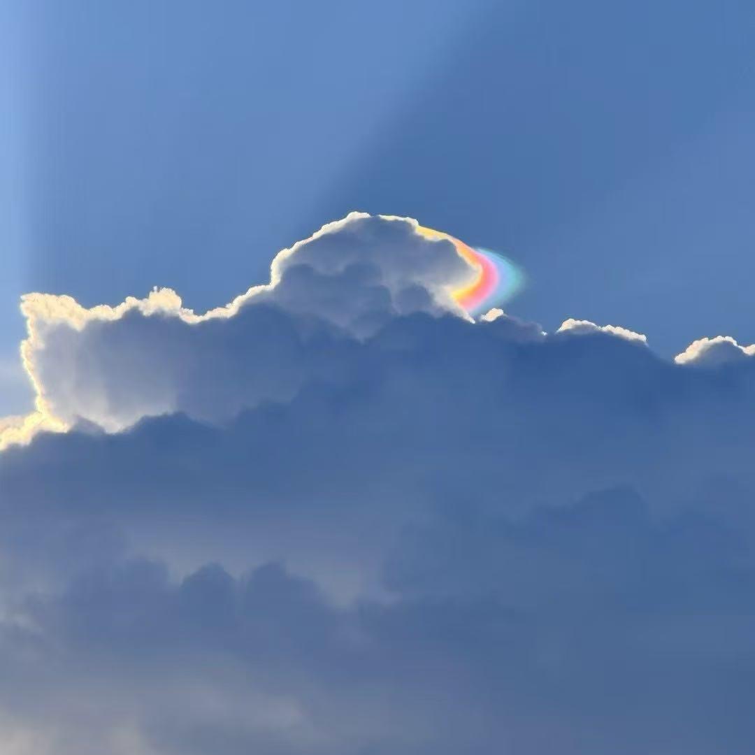 山东田苏生态农业