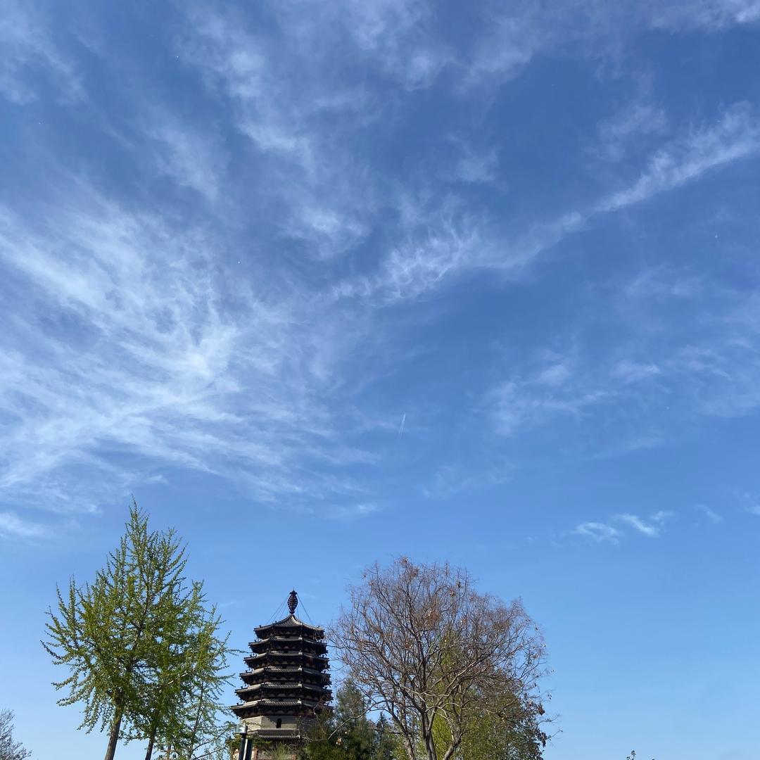 恐龙哥哥