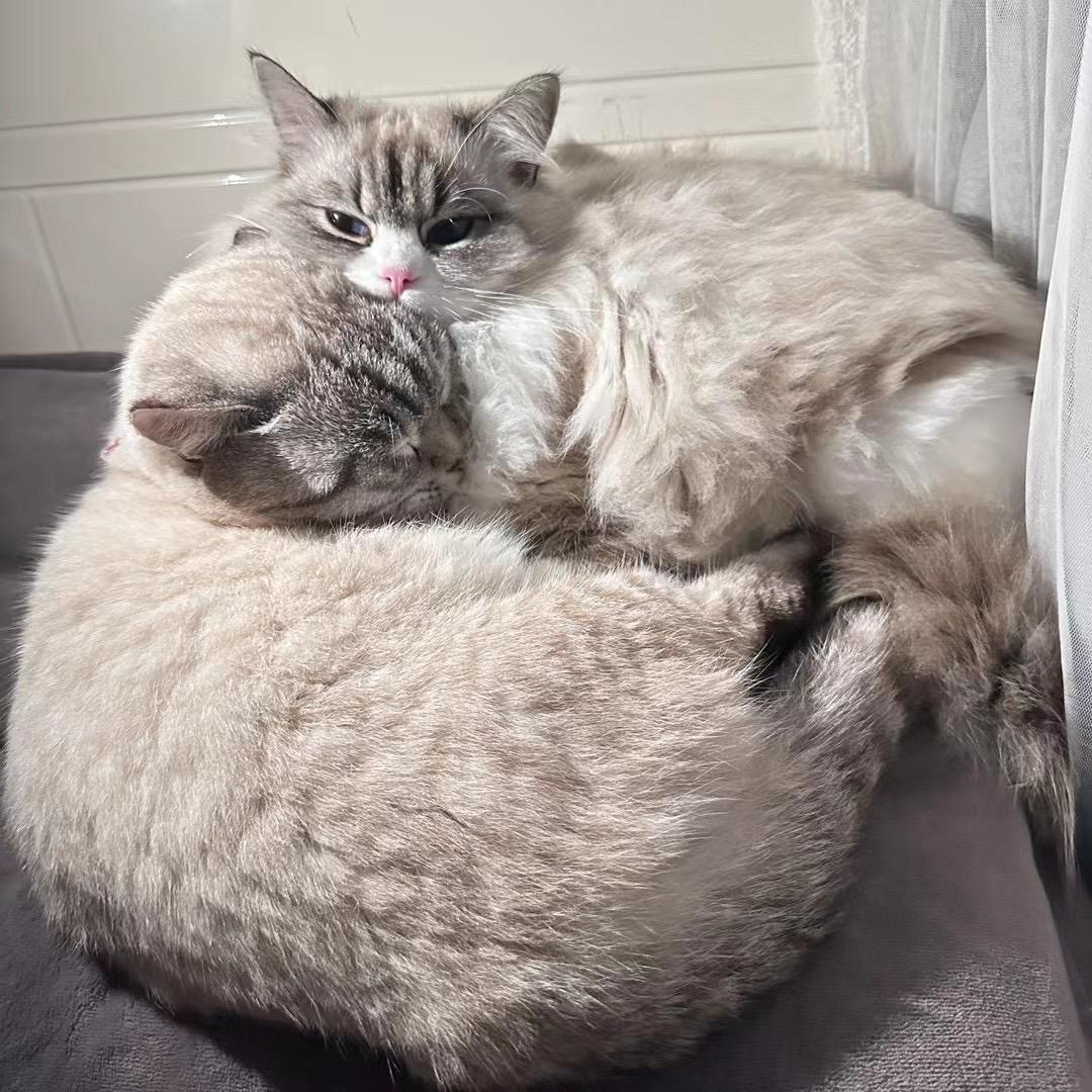 辉.