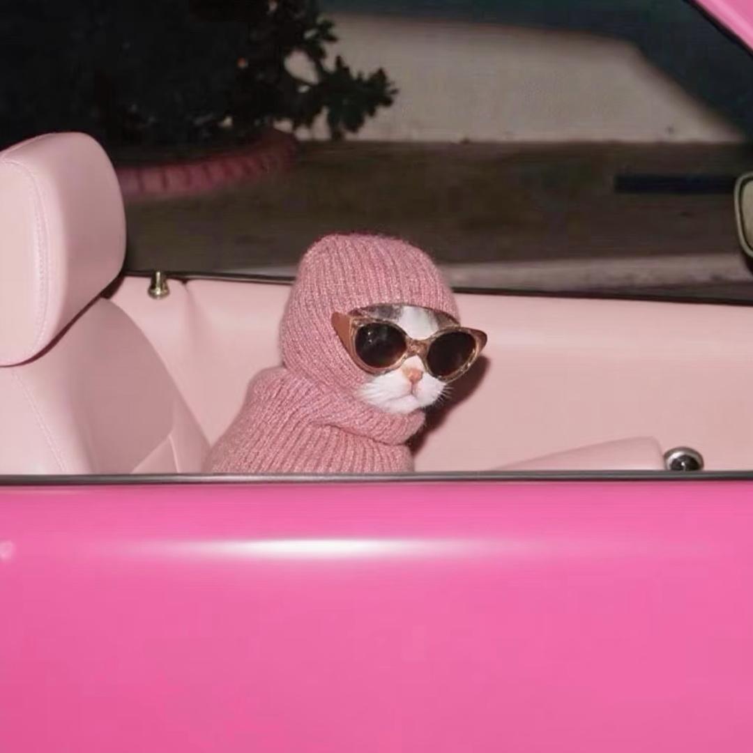 你芝士甘薯么੭ﾞ