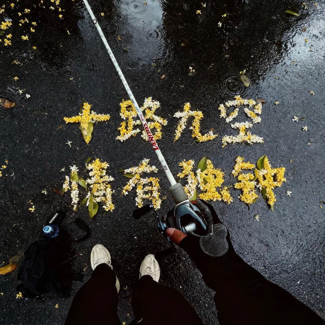 鱼都睡了💤「路亚微物」