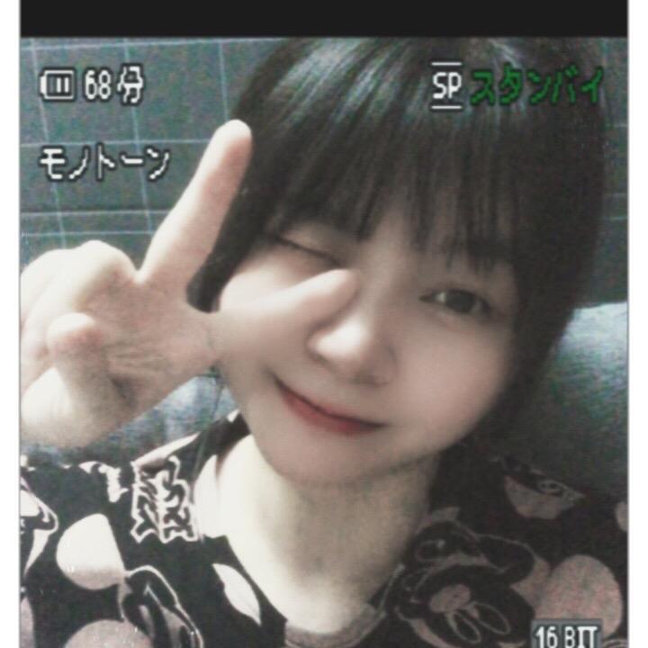 小熊韦尼