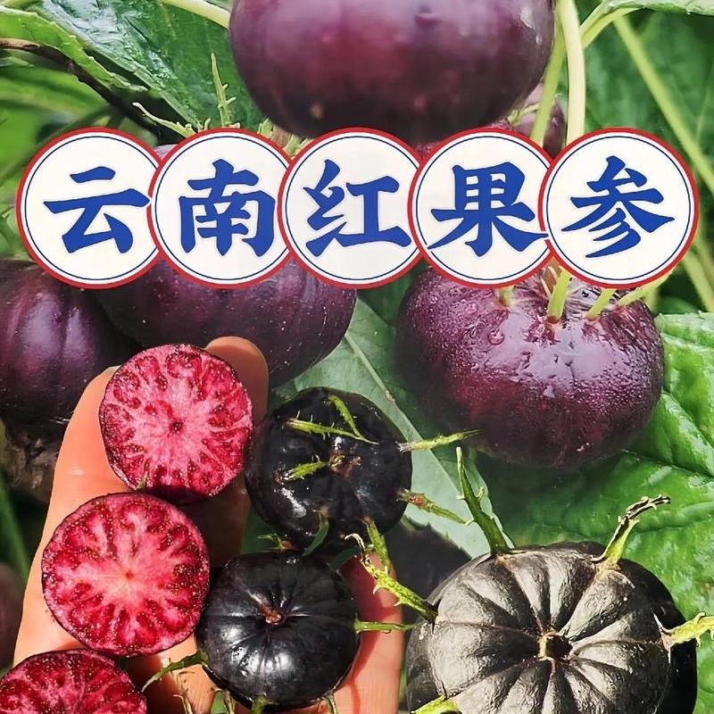 朴食果蔬优选
