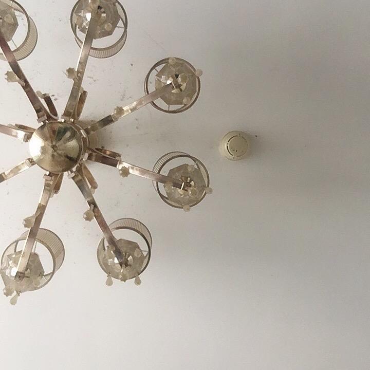 小凤8
