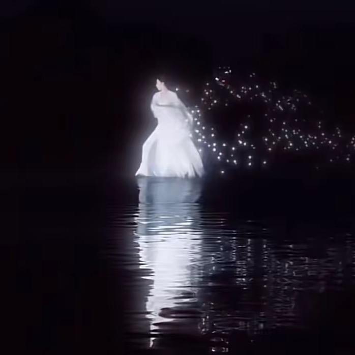 SH-丹凤朝阳