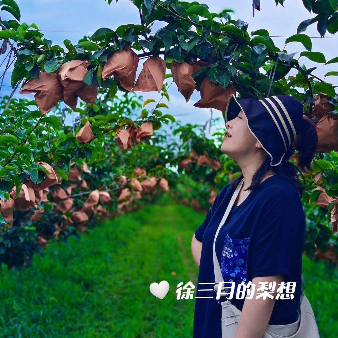 徐三月的梨想