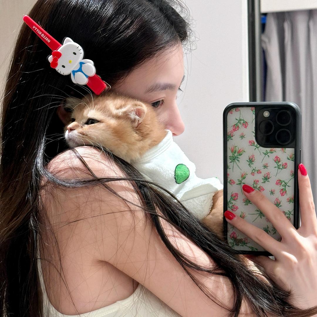 琼