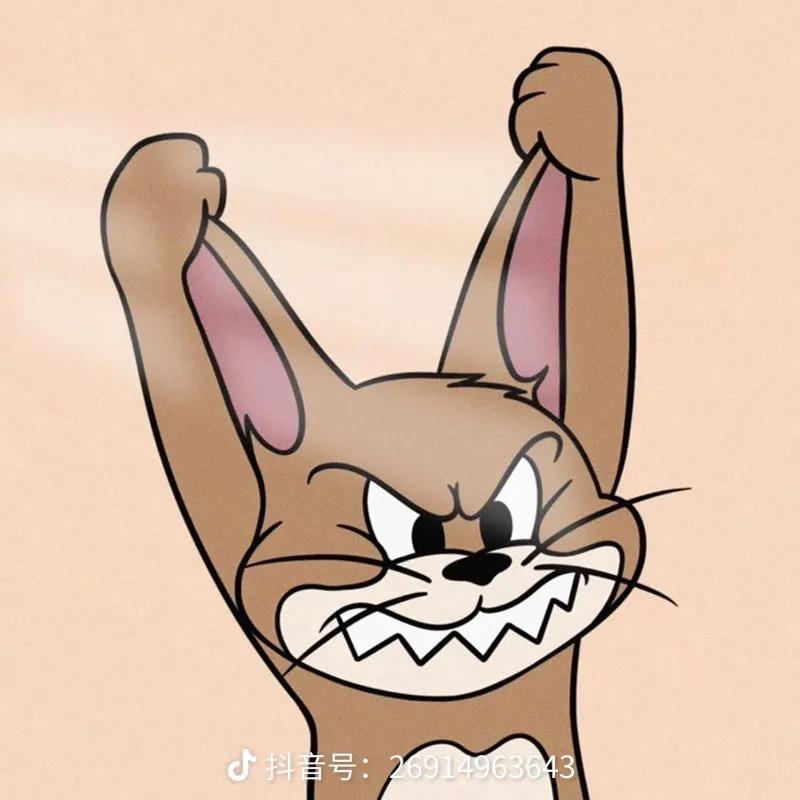 🌈组队去偷猫🌈🌈