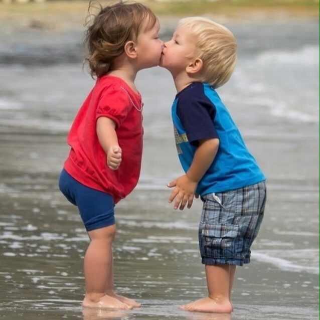 纺织路与绘纺路交汇处，皇藏峪蘑菇鸡