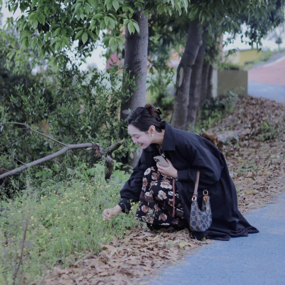 梅小姐·白茶世家