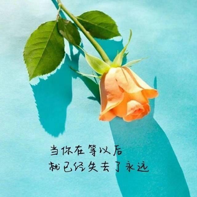 点进来，下地狱