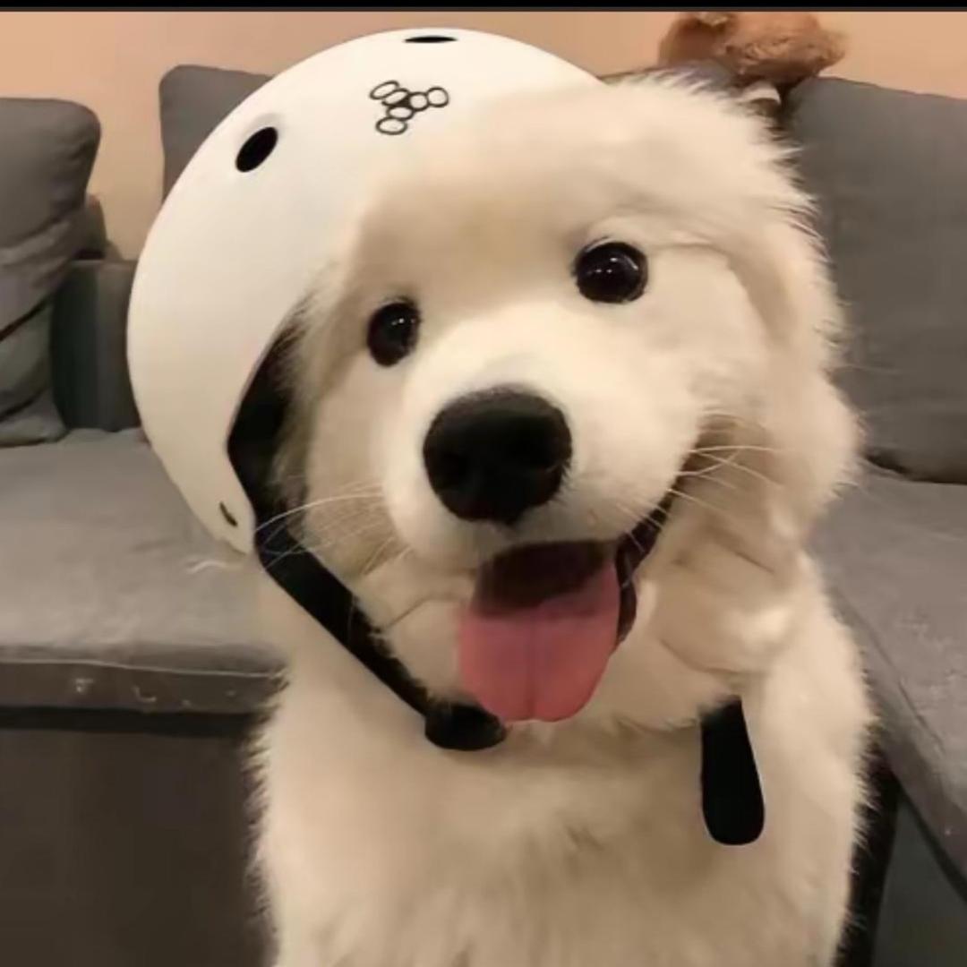 莱德.