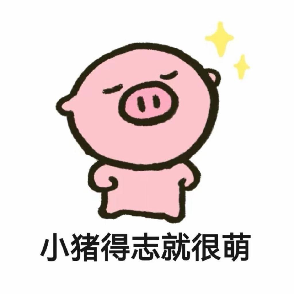 _是小白猪.