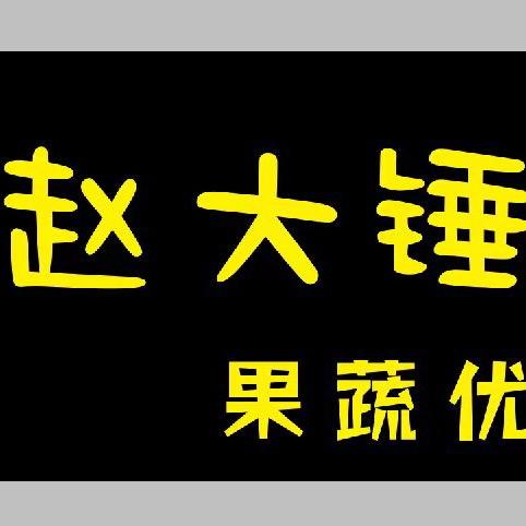赵大锤（宁晋笑乐汇）