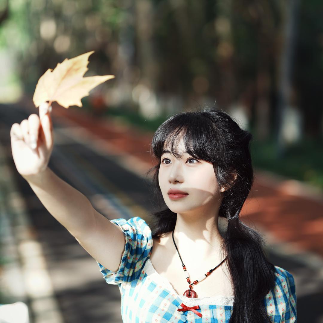 早起数星小羊.