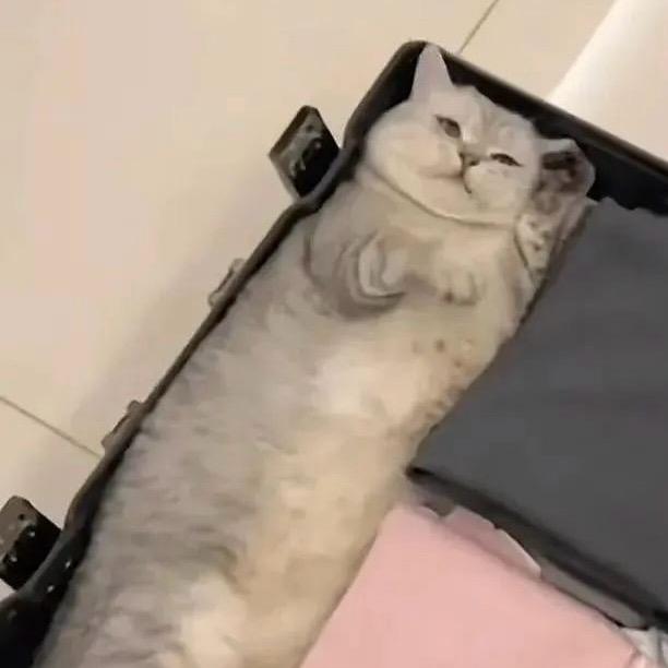 周小主的聚宝盆