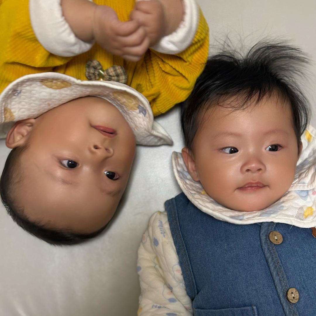 练家双子星头像