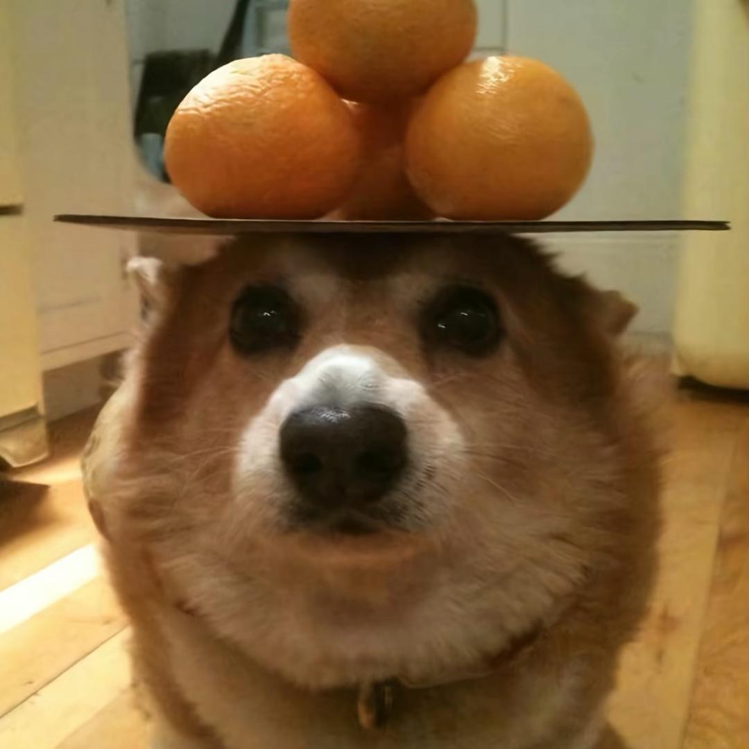 炸鸡配不配可乐