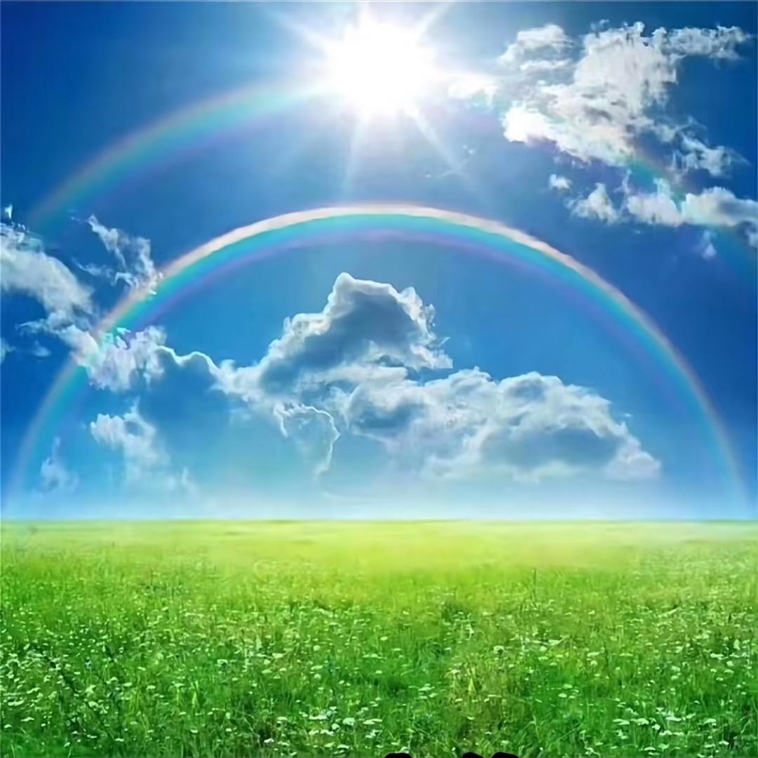 锦鲤小富婆1413🌸🌸