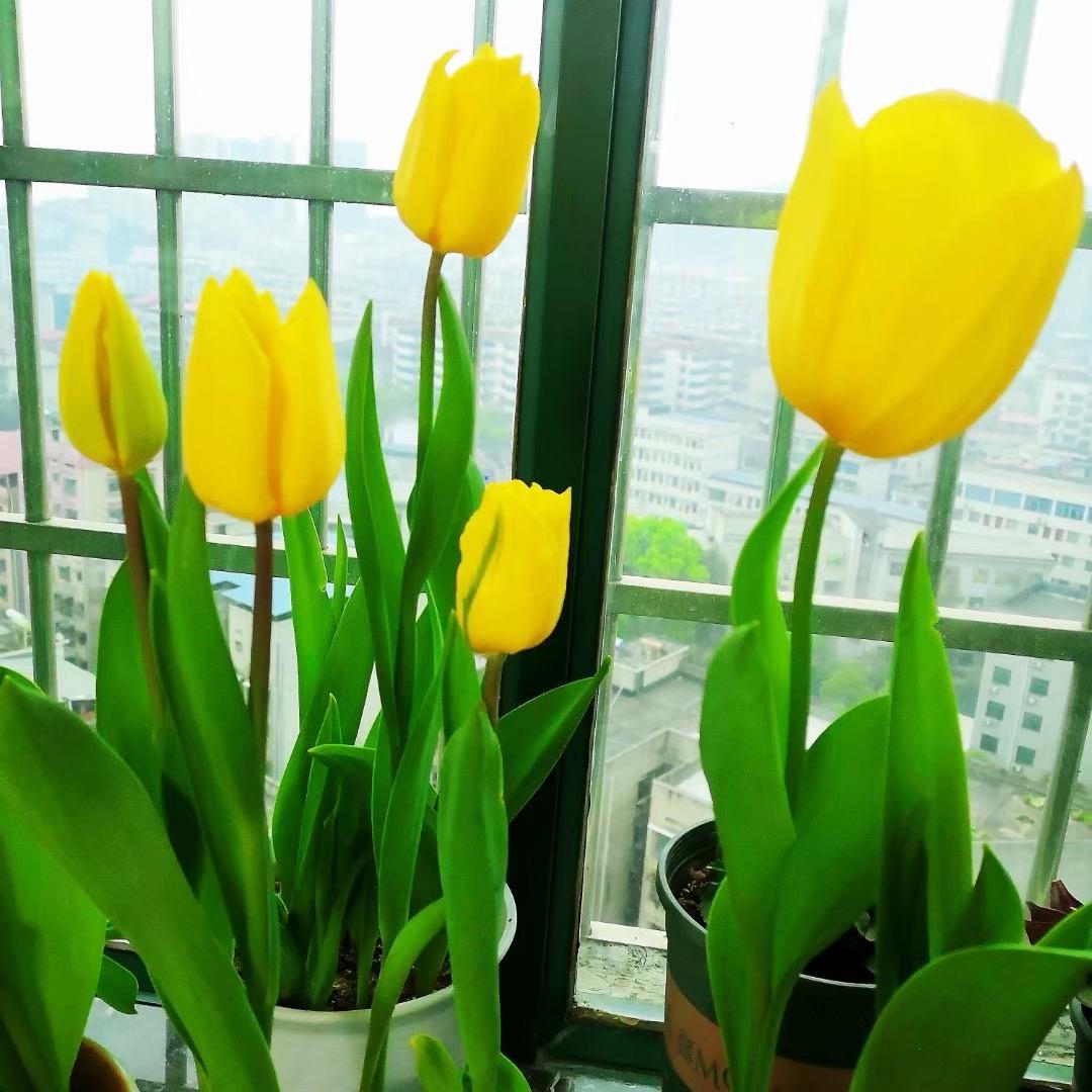 空心菜^_^