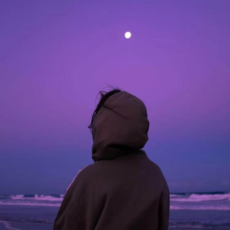 静香新品种柑橘苗木