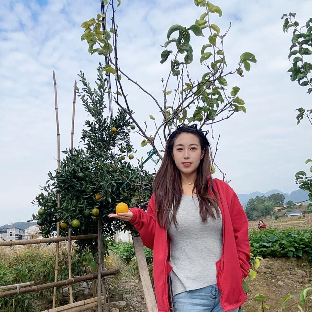中和农信小铃铛🔔