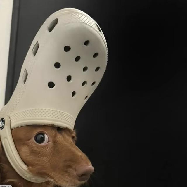 最后一家发饰店