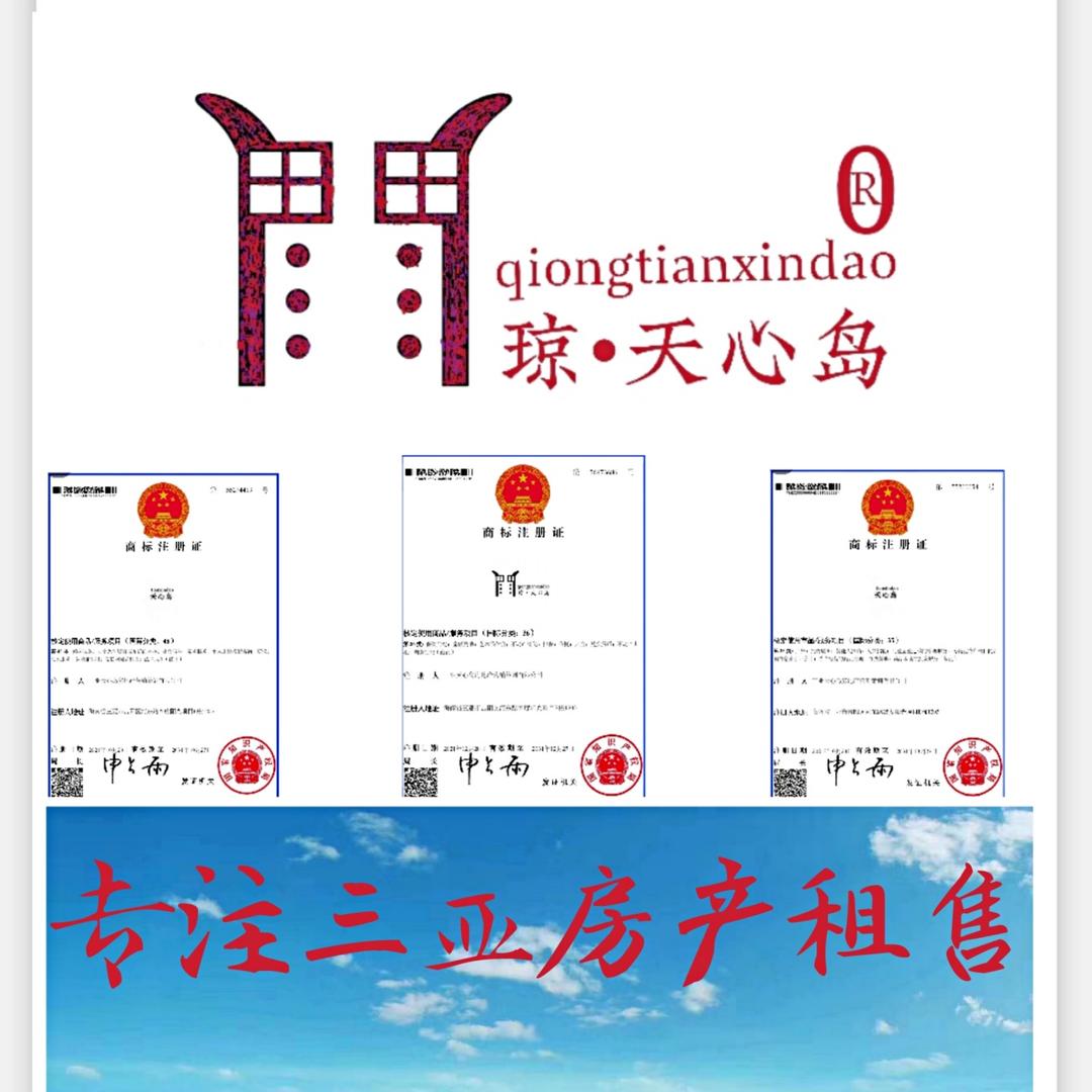 天心岛房地产