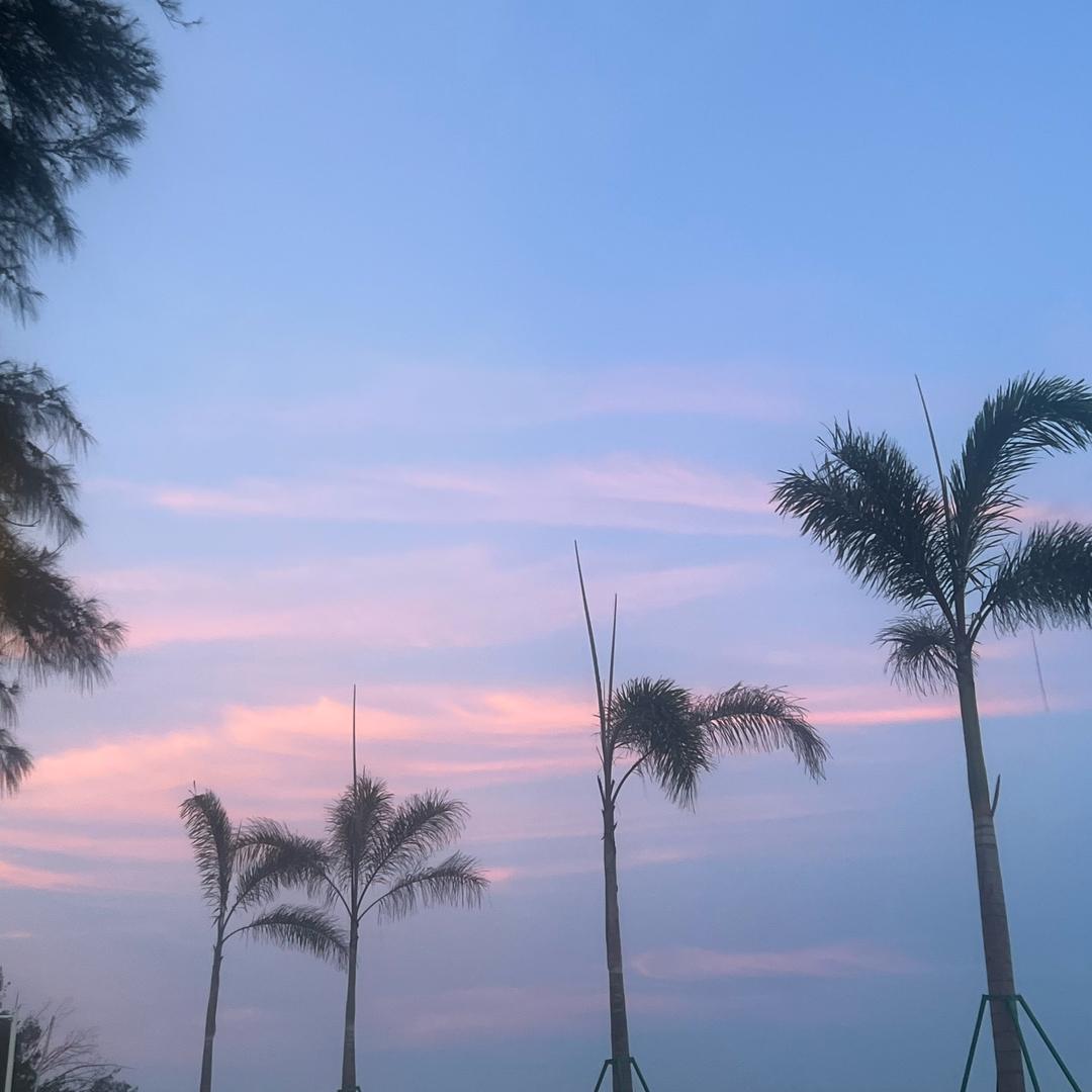 淩晨³点看海
