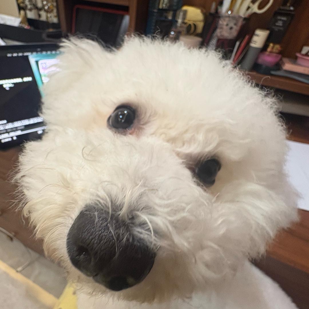 Leghair🦵🏻🦵🏻