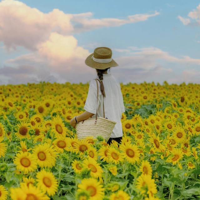 燕