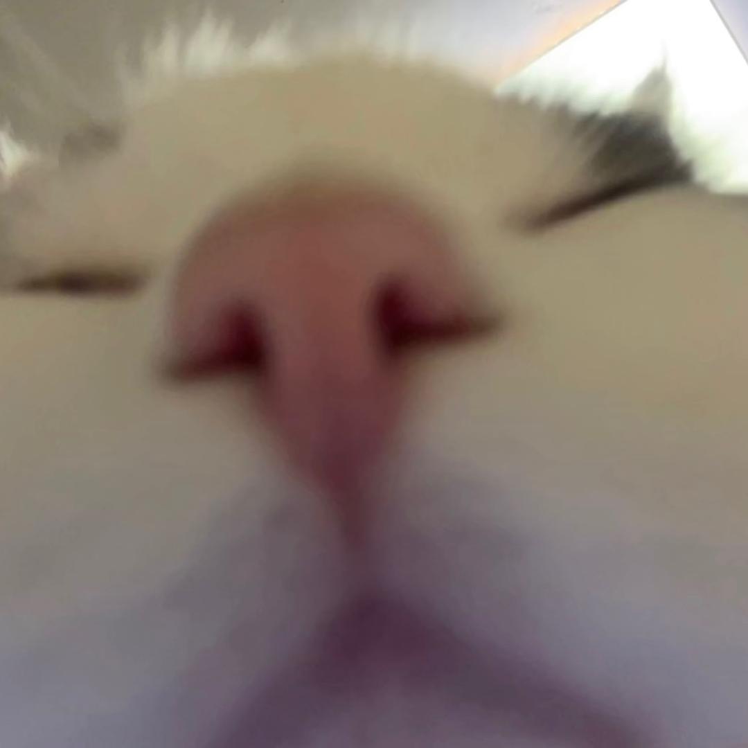 钰子酱