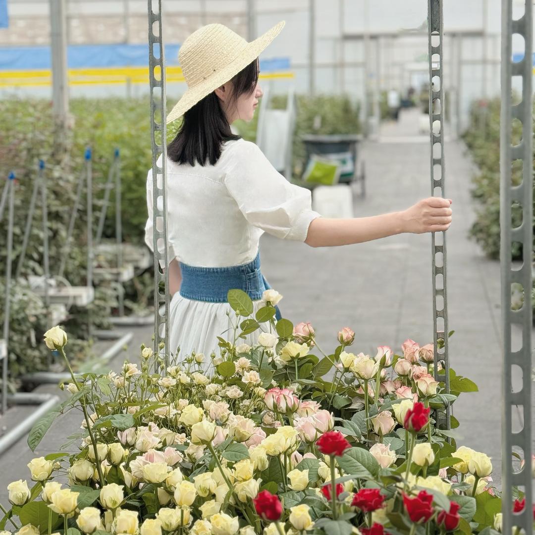 星蔓花舍