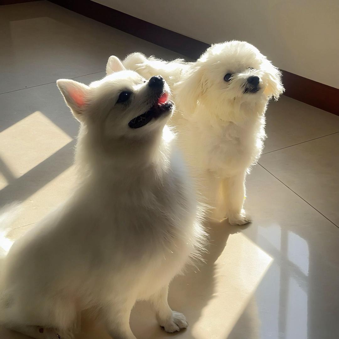我是昊楠和你