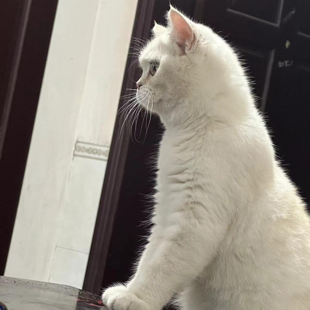 闽闽~