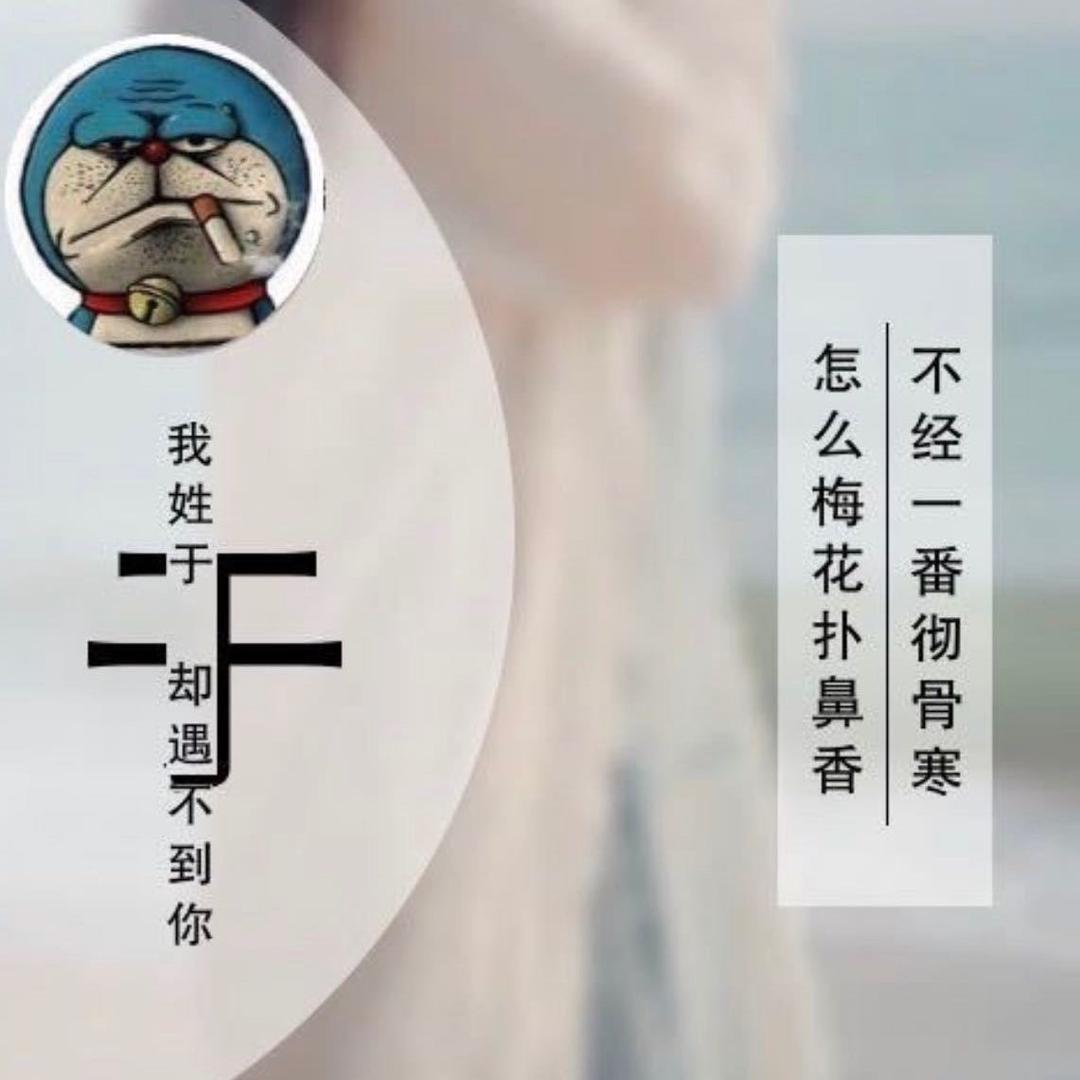 小🐟儿