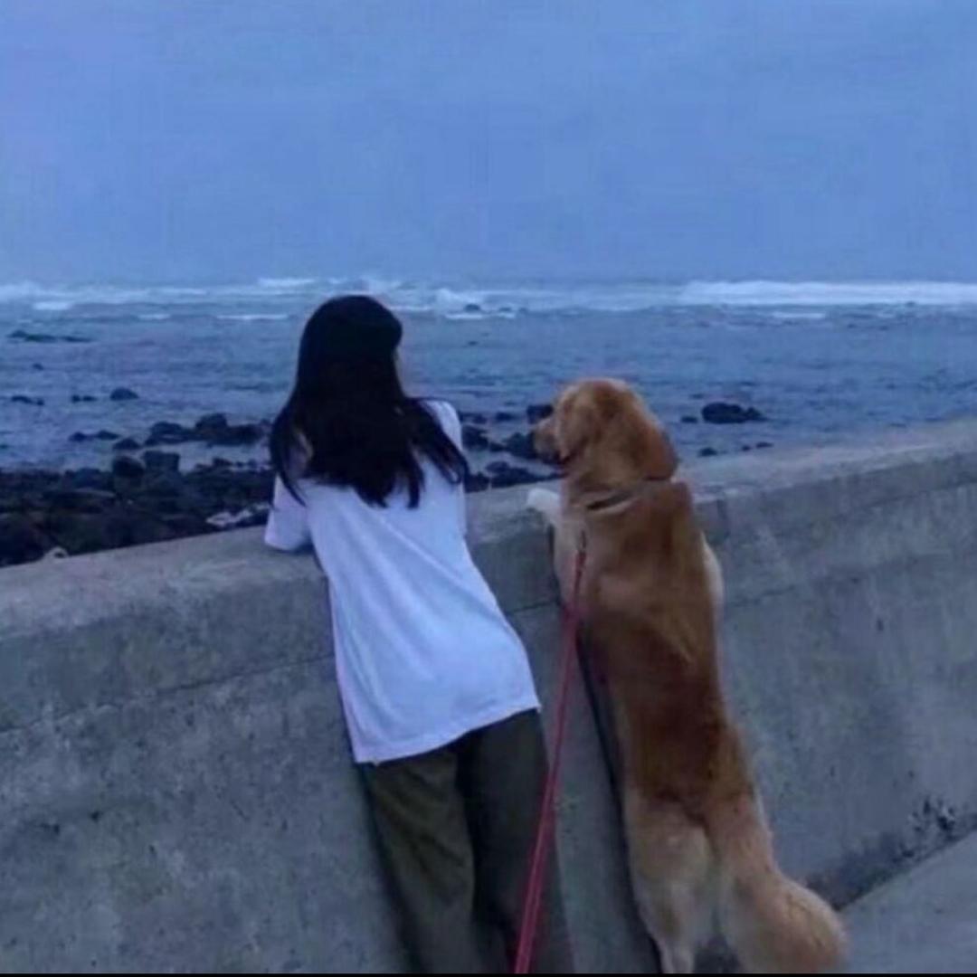 如愿v1.0