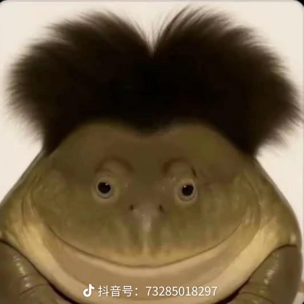 user9036282245725