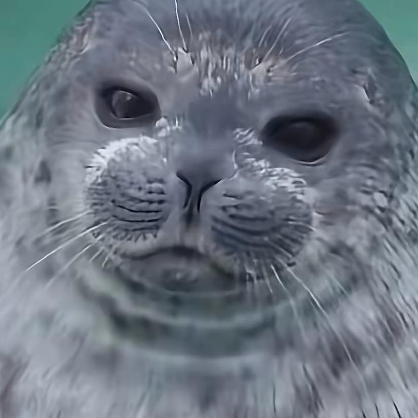 绝望的大魔王996