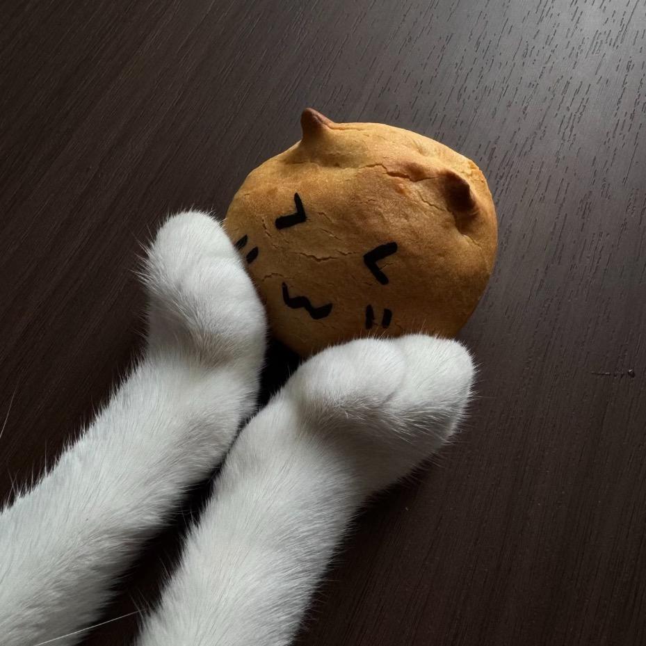随便