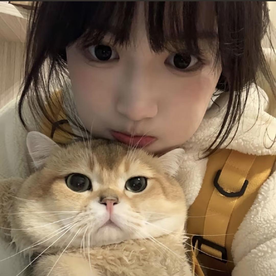 niu泪猫猫头