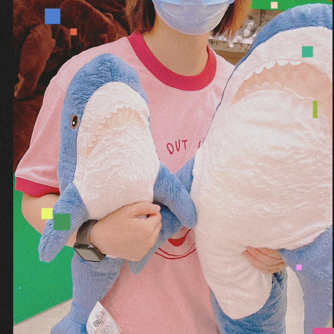 张同学z