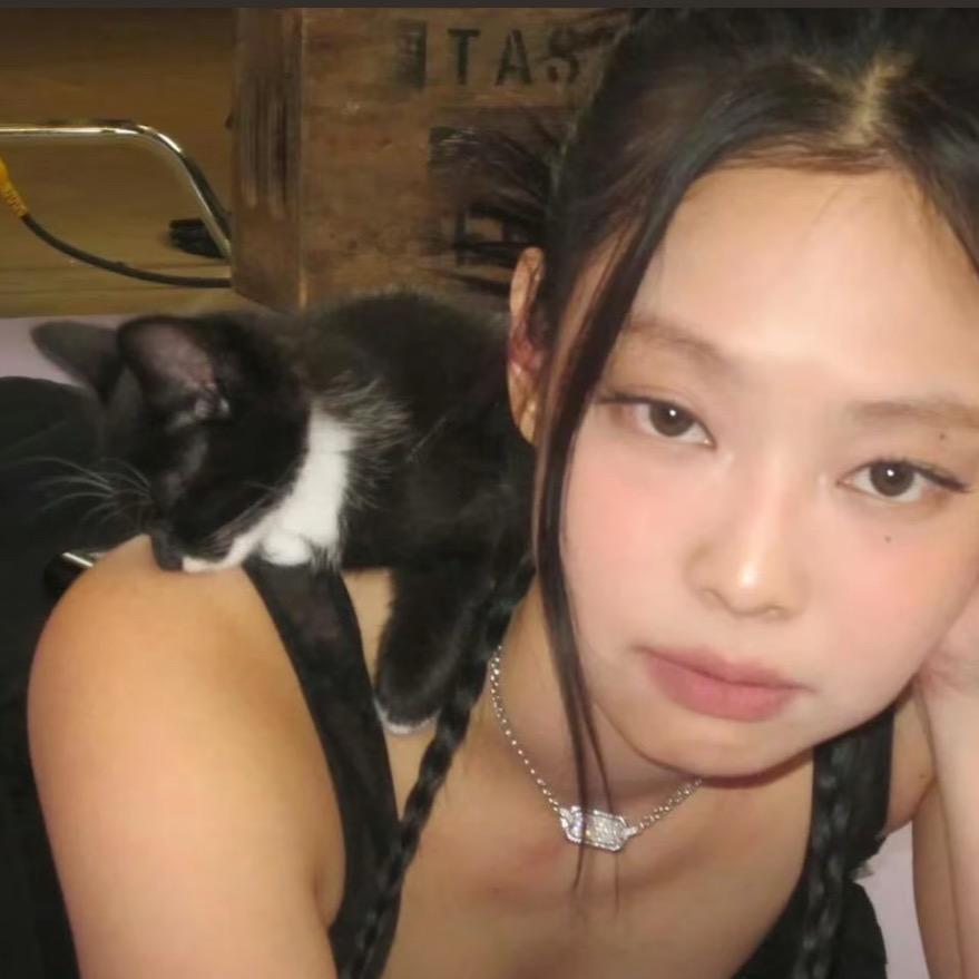 枕芯绒