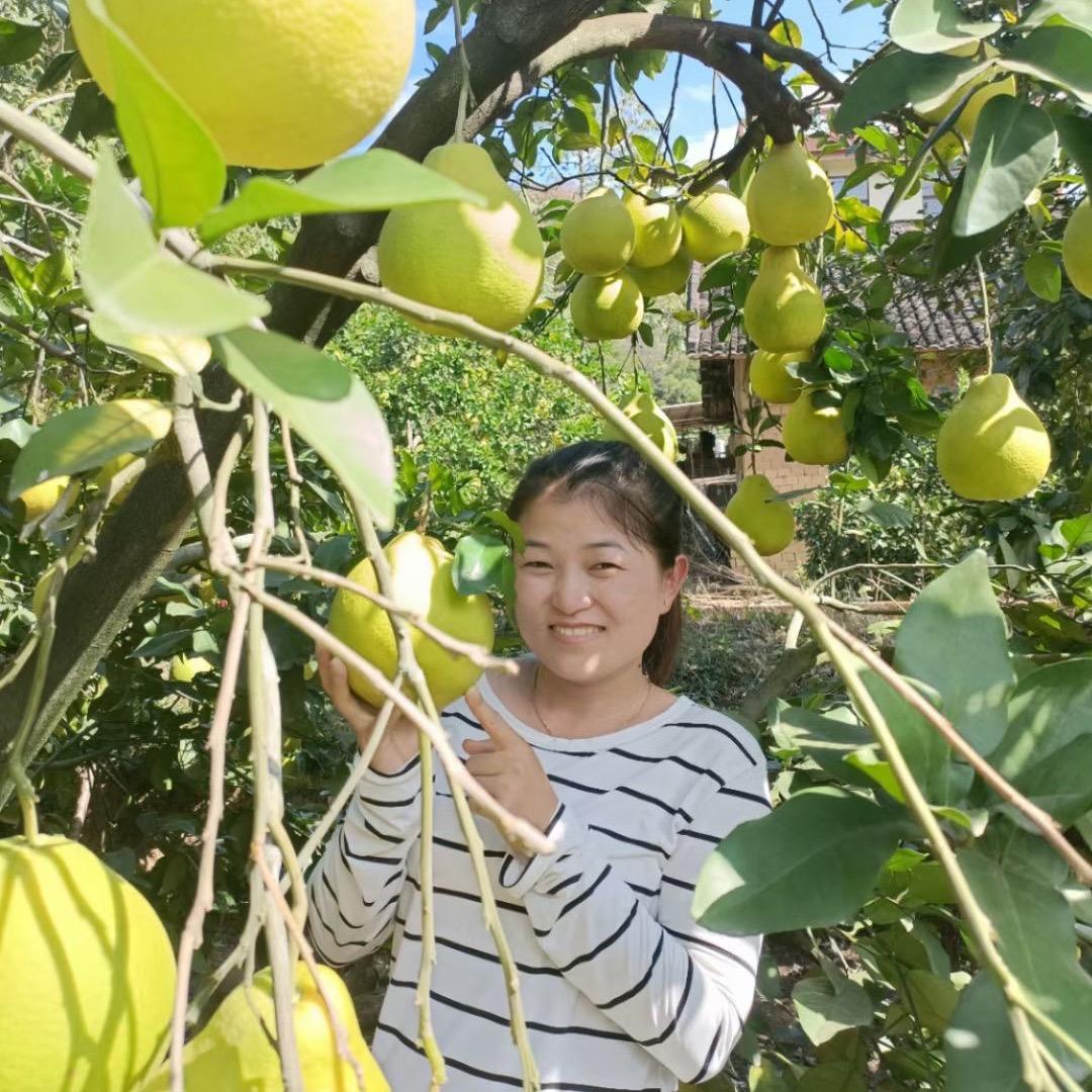湘南桃川洞（霞姐）