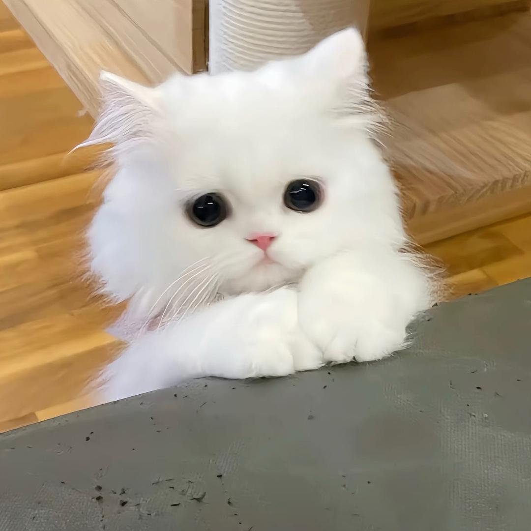 北北ㅤ
