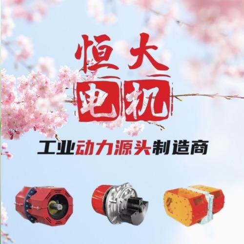 新乡恒大电机